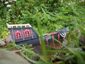 I found a pirate ship! Not really, what I did find was how to focus on my camera. 